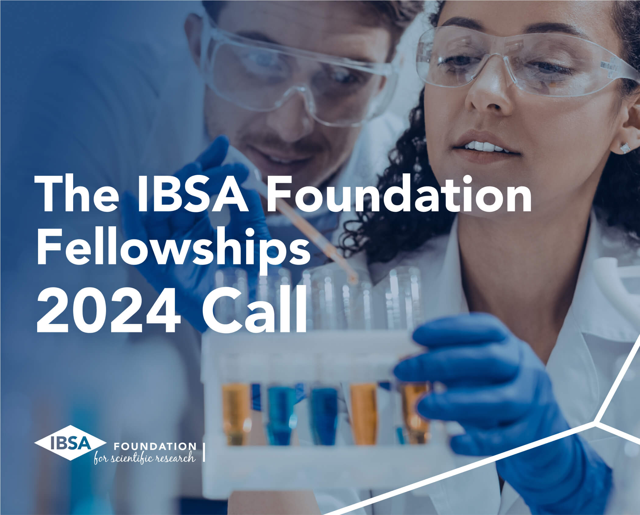 Fellowship 2024 Call HP